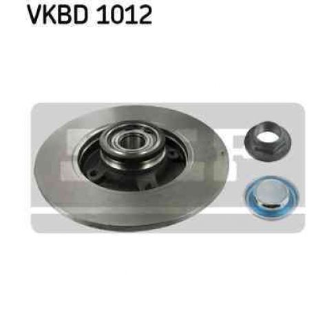 Brake disk with bearing