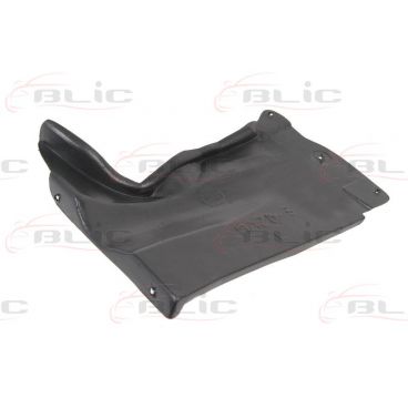 Scut motor/cutie viteze