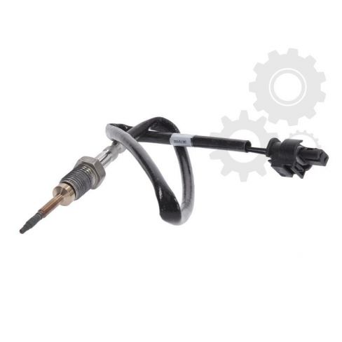 Senzor temperatura evacuare Senzor temperatura evacuare