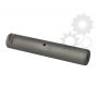 Leaf spring bolt