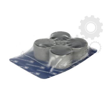 Cuzineti palier biela