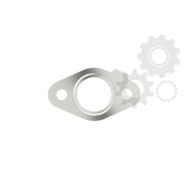 Garnitura supapa EGR