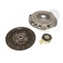 Clutch kit with bearing