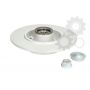 Brake disk with bearing