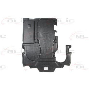 Scut motor/cutie viteze