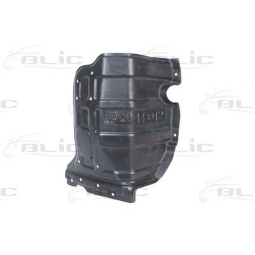 Scut motor/cutie viteze