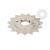 Pinion fata