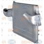 Radiator aer