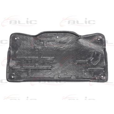 Scut motor/cutie viteze