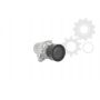 Intinzator curea