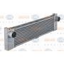 Radiator aer
