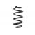 Arc suspensie axa spate
