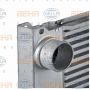 Radiator aer