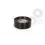 Intinzator curea distributie