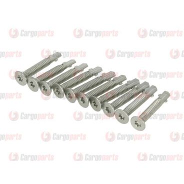 Galvanized screws