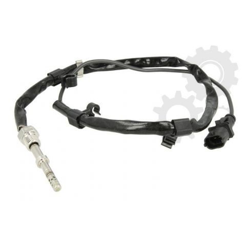 Senzor temperatura evacuare Senzor temperatura evacuare