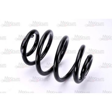 Arc suspensie axa spate