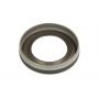 Element pompa CR