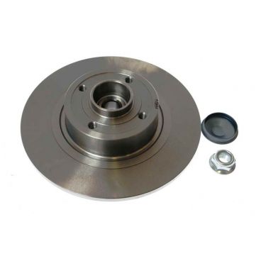 Brake disk with bearing