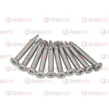 Galvanized screws