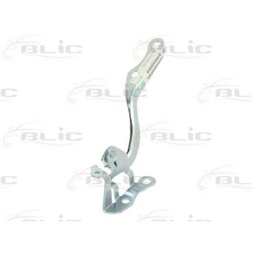 Elemente capota motor