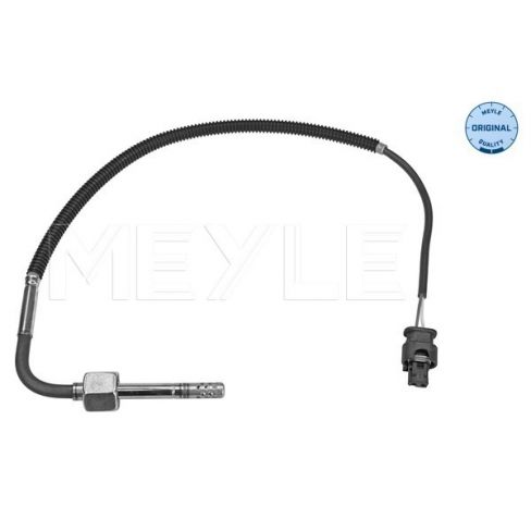 Senzor temperatura evacuare Senzor temperatura evacuare