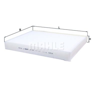 Filtru polen