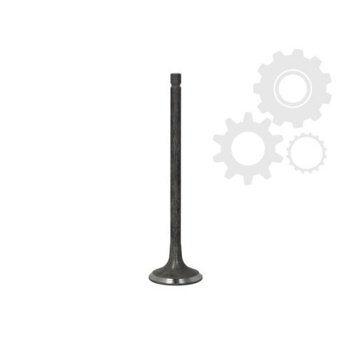 Supapa evacuare Supapa evacuare