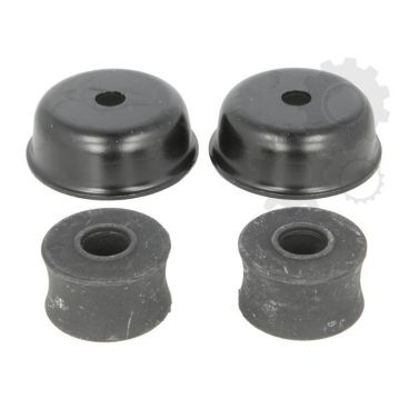 Amortizor suspensie Mc Pherson