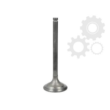 Supape/pastile reglaj