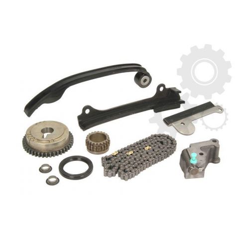 Kit distributie (lant+intinzator)