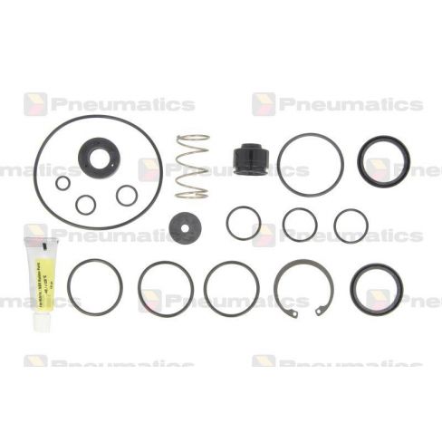 Kit reparatie valva Kit reparatie valva