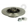 Brake disk with bearing