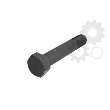 Leaf spring fixing bolt