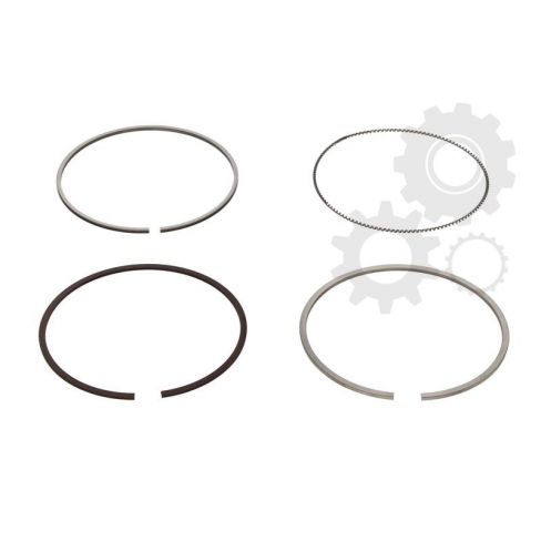Segmenti piston