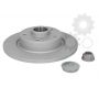 Brake disk with bearing