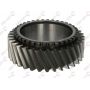 Pinion cutie viteze