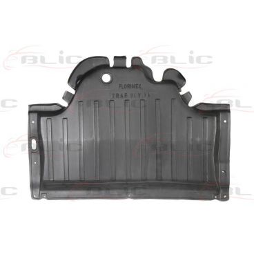 Scut motor/cutie viteze