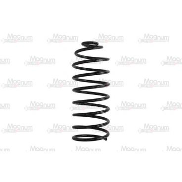 Arc suspensie axa spate