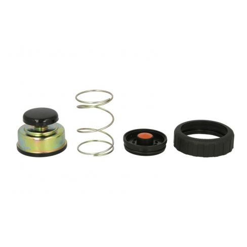 Kit reparatie pompa combustibil Kit reparatie pompa combustibil
