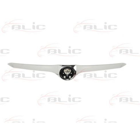 Elemente capota motor Elemente capota motor