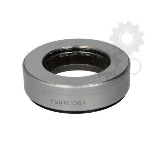 Rulment pivot Rulment pivot
