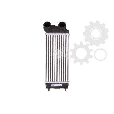 Radiator aer