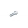 Wheel bolt