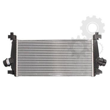 Radiator aer
