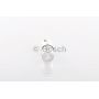 H21W light bulb
