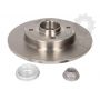 Brake disk with bearing
