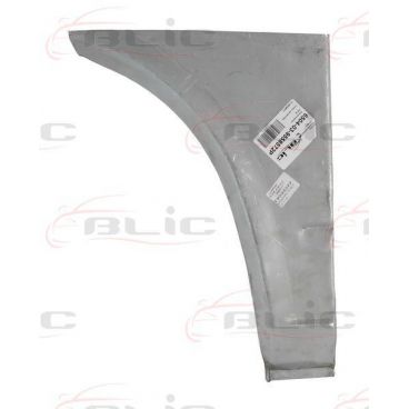 Aripa reparatie