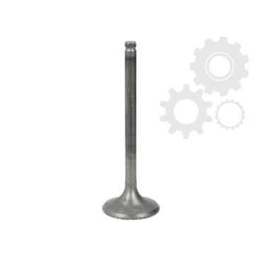 Supape/pastile reglaj