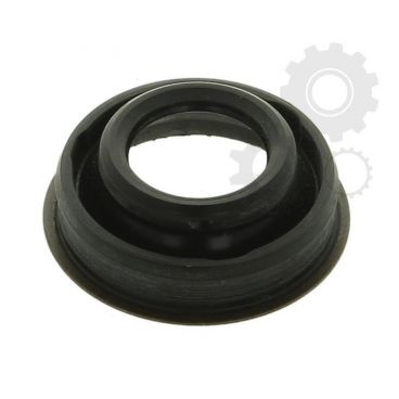 Garnitura bujie scantie